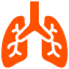 Respiratory