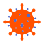 Bacillus subtilis